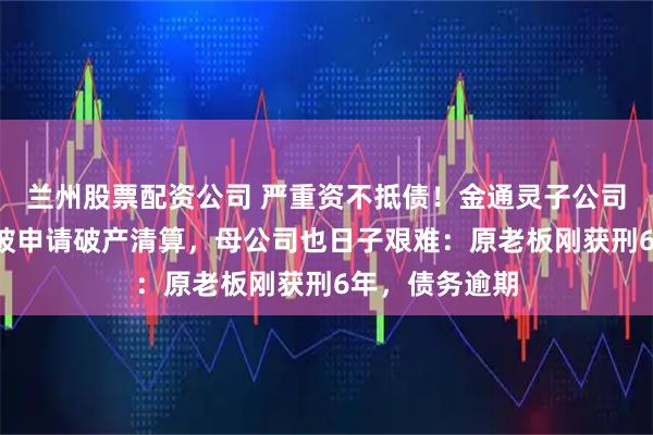兰州股票配资公司 严重资不抵债！金通灵子公司成立仅6年，被申请破产清算，母公司也日子艰难：原老板刚获刑6年，债务逾期